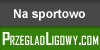 przegladligowy.com