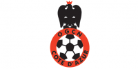 Ben Arfa potwierdzony przez Nice